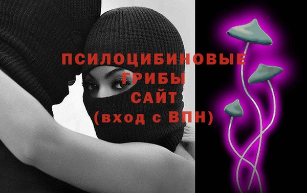 a pvp Пересвет