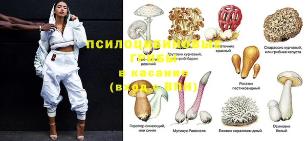 мяу мяу кристалл Переславль-Залесский